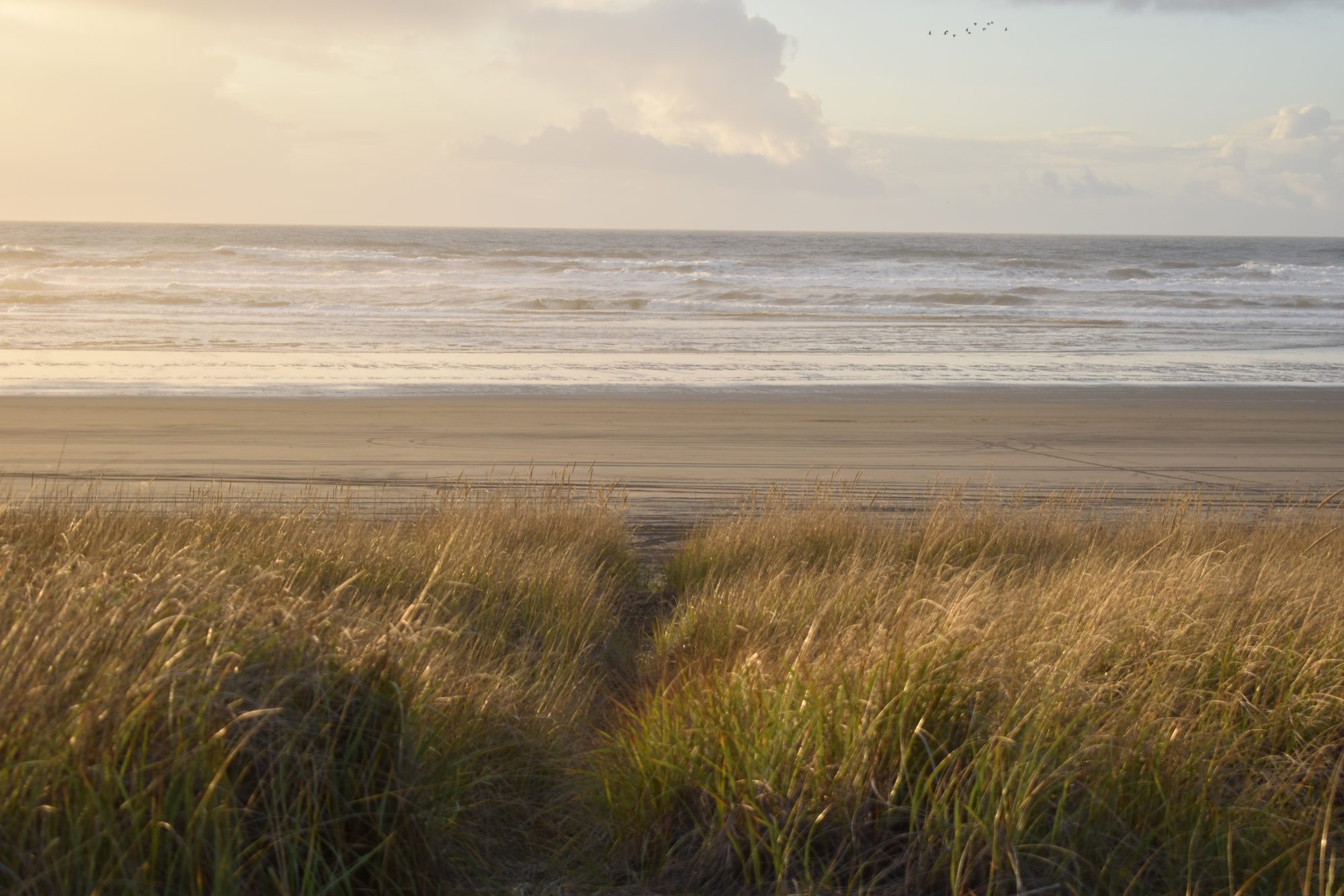 13 Cute Beach Cottages And Cabins Perfect For A Summer Escape On