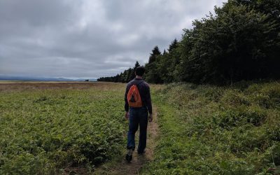 5 Hikes for Birders this Fall