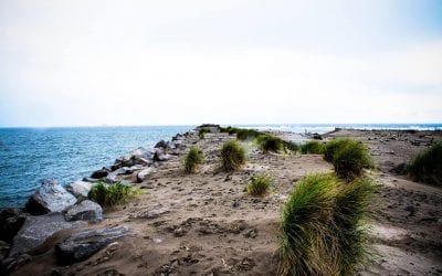 Cape Disappointment Virtual Tour