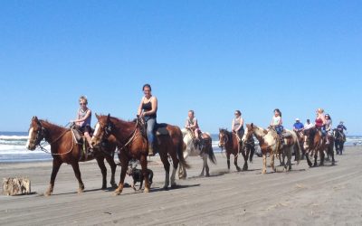 Horseback Riding on the Beach