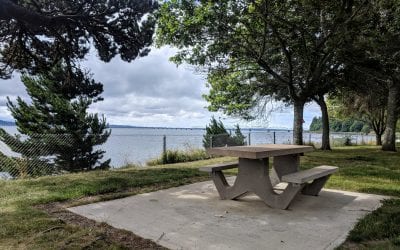 17 Gorgeous Picnic Spots in Pacific County