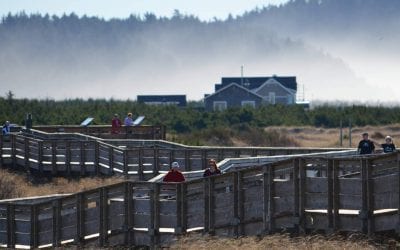 15 Fabulous Features of the Long Beach Boardwalk