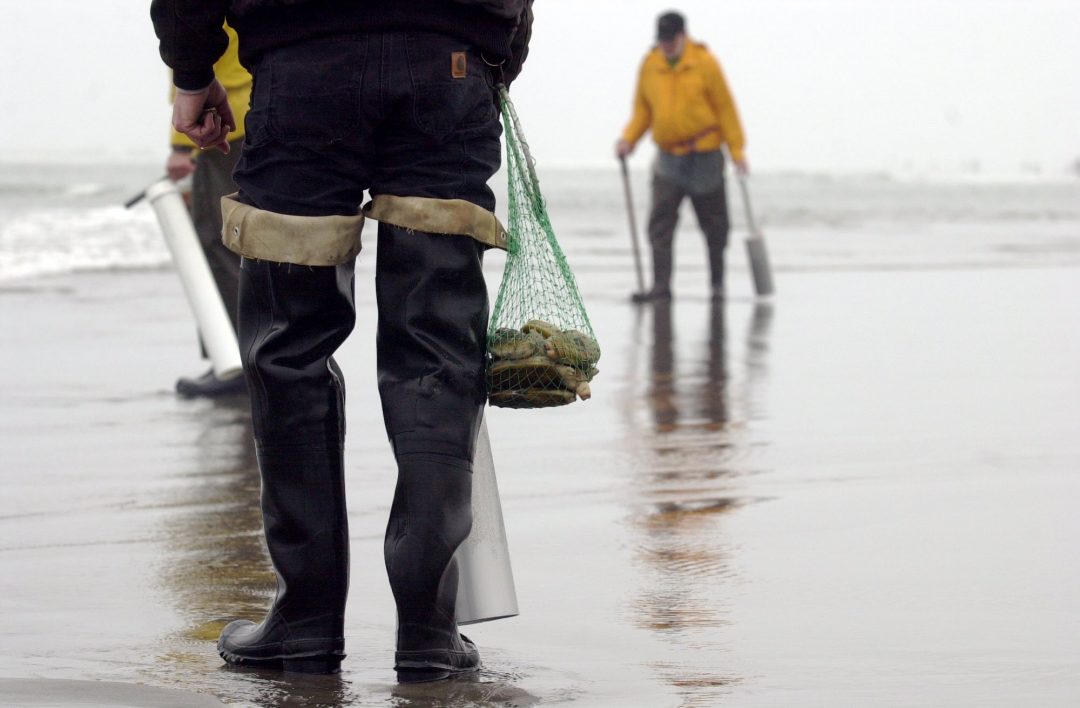 Clam It Up at the Long Beach Razor Clam Festival