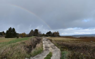 A rainbow in Oysterville