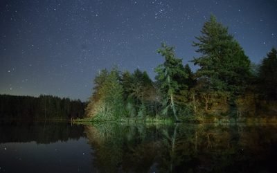 9 Starry Nights on Washington’s Long Beach Peninsula