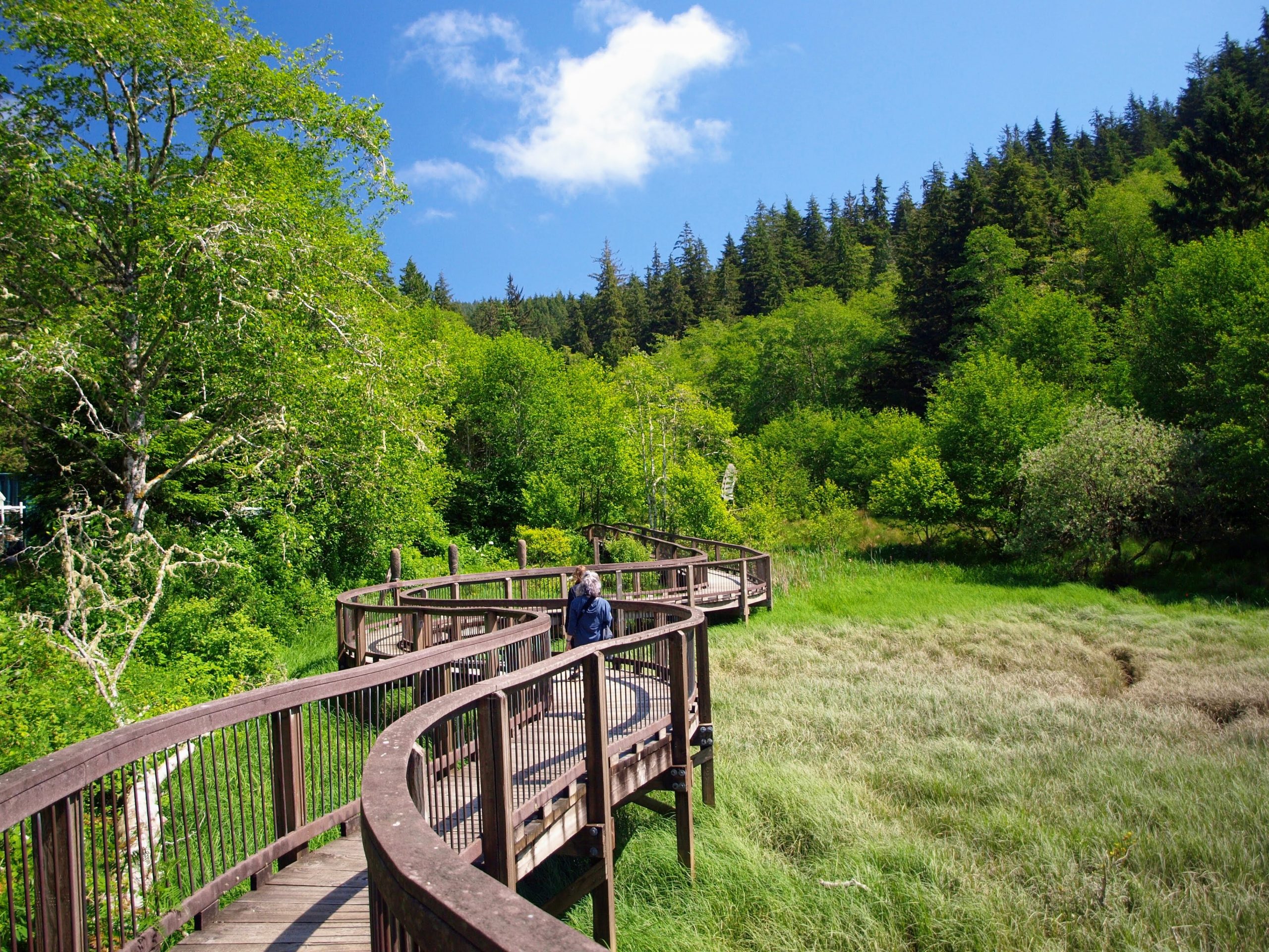 Willapa Wildlife Art Walk