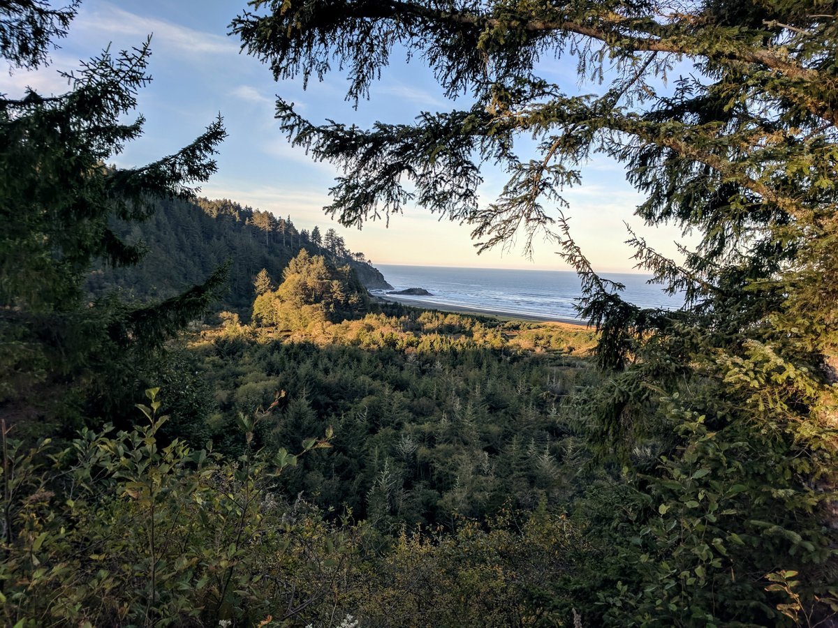 A dog-friendly state park.