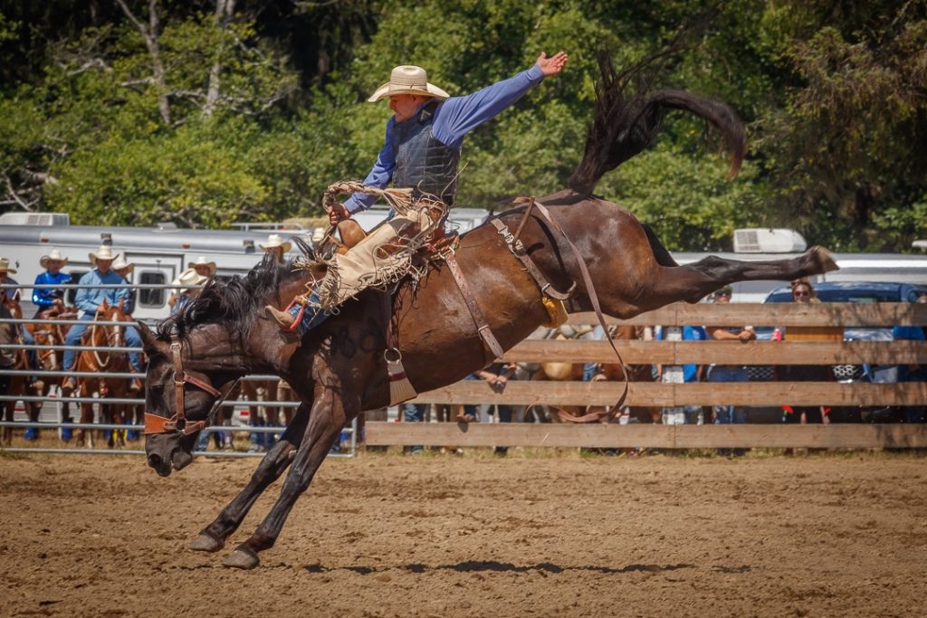 8. Annual Small-Town Events - Rodeo - credit Mike Penney