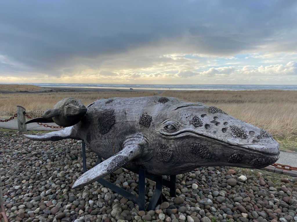 5. Art in Pacific County - Grey Whale - credit Danelle Dodds
