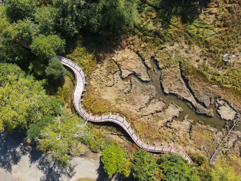 Washington's Evergreen Coast Featured in Travel + Leisure