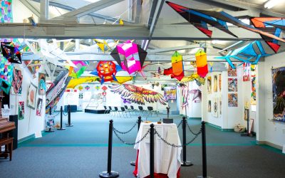 Curiosities, Culture, and Kites: The Best Museums in Washington