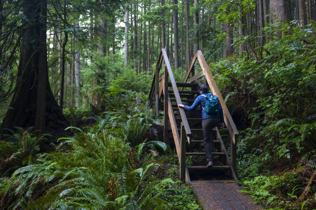 Find Yourself on Washington's Evergreen Coast