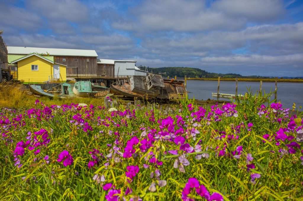 Find Yourself on Washington's Evergreen Coast