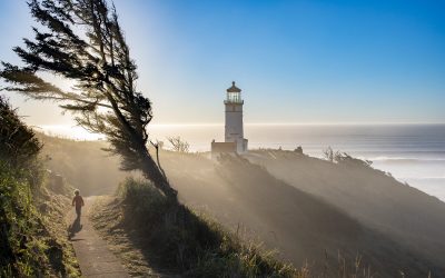 Hiking Washington’s Evergreen Coast: When Forest Meets the Sea