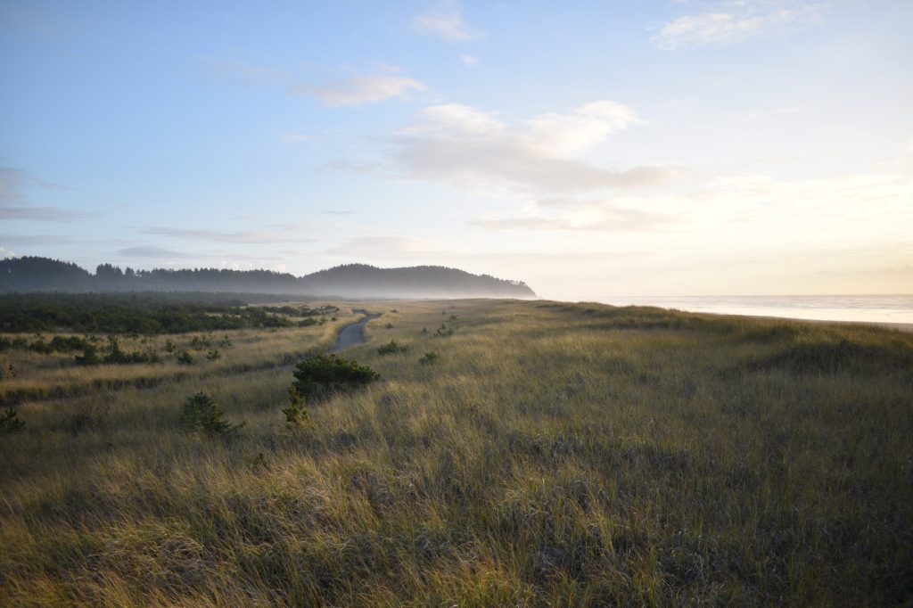 Hiking Washington’s Evergreen Coast: When Forest Meets the Sea