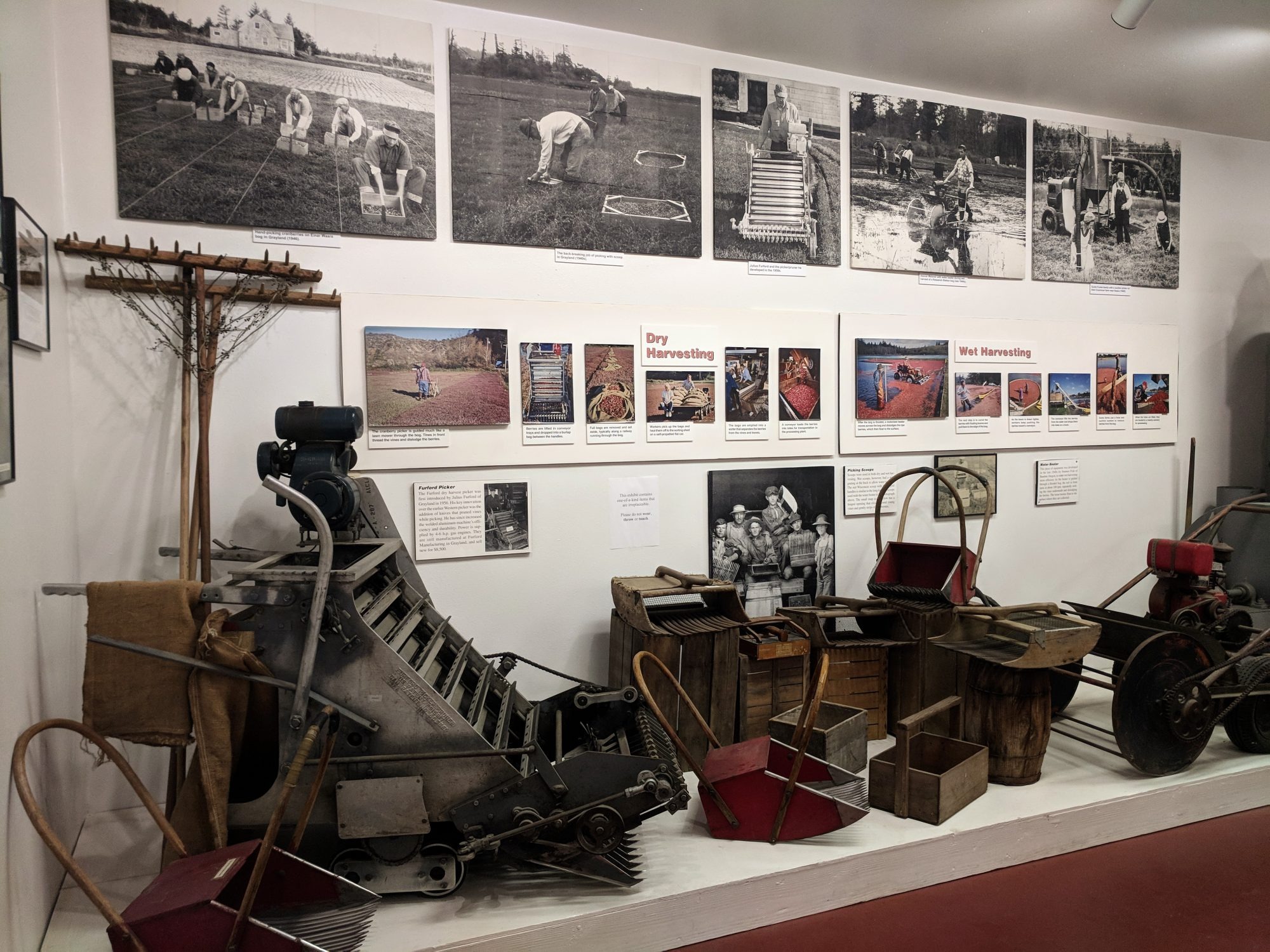 The Cranberry Museum in Long Beach, WA, featuring historic harvesting tools—a unique local attraction that offers a glimpse into the region’s agricultural past.