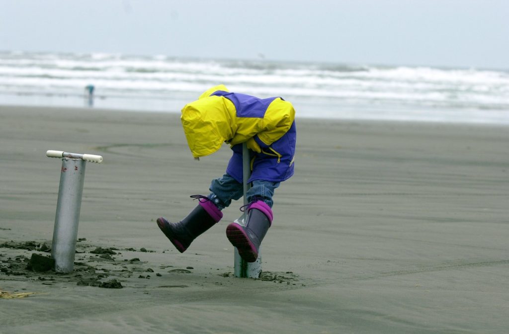 Razor clam digging is one of the exciting beach activities for kids on the Long Beach Peninsula.