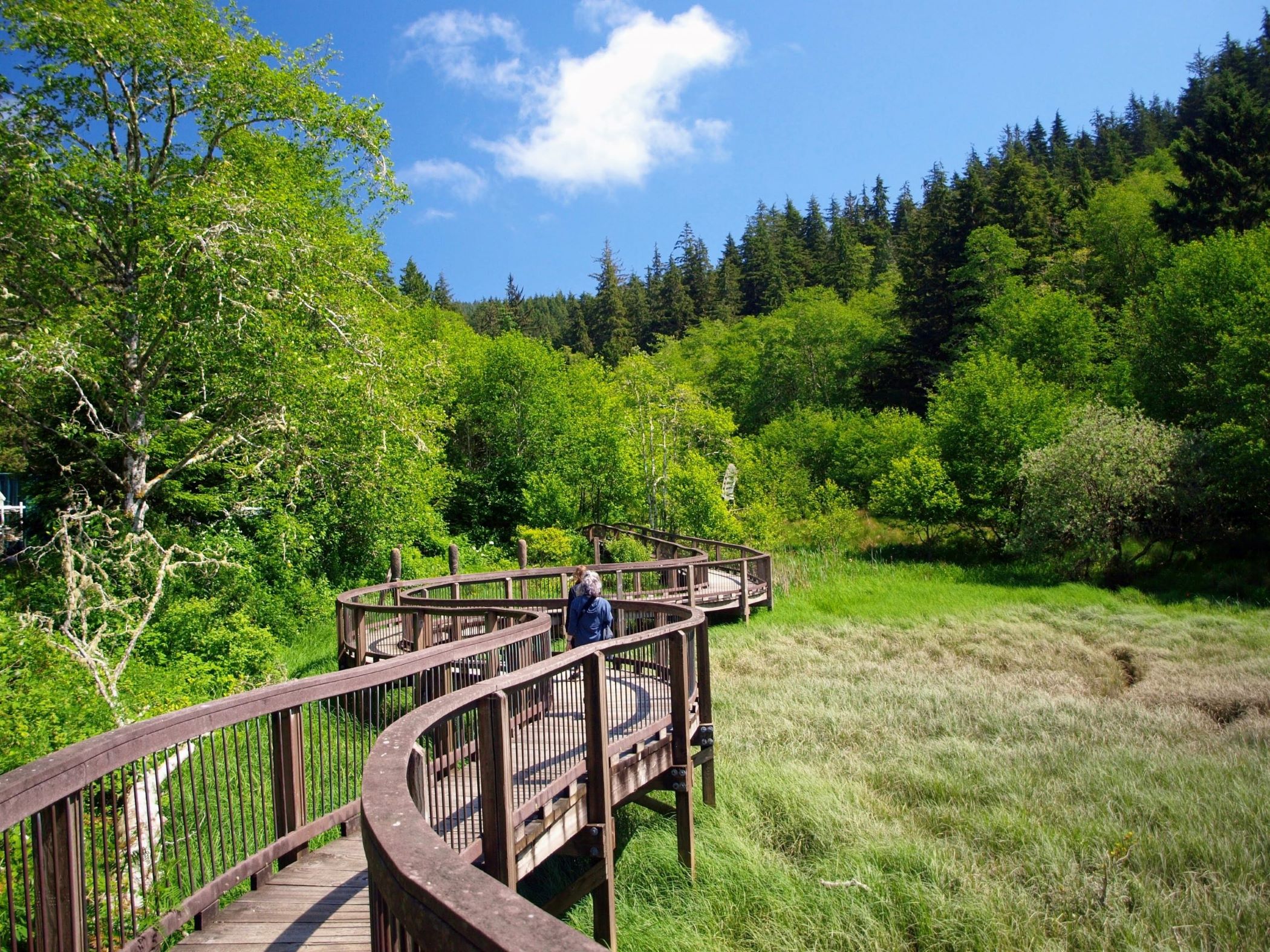 The Willapa Boardwalk, an inviting outdoor activity in Long Beach, Washington.