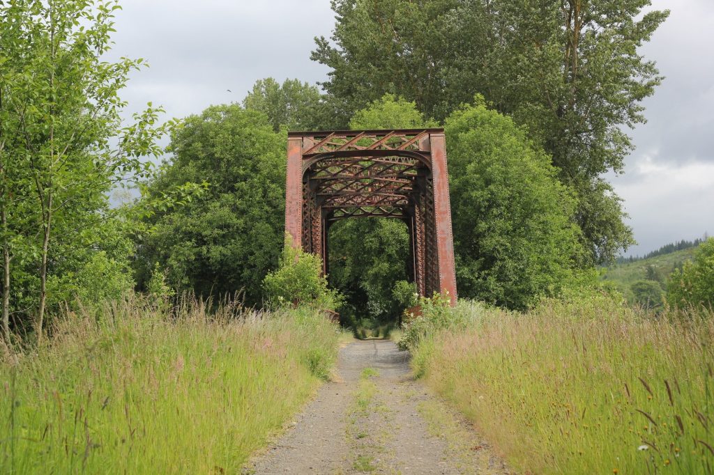 The Willapa Hills Trail, is a great kid-friendly outdoor activity near Long Beach, WA.