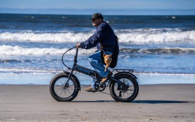 A man riding an e-bike along the beach, wearing a a dog carrier sling with a dog inside it, and crashing waves in the background.