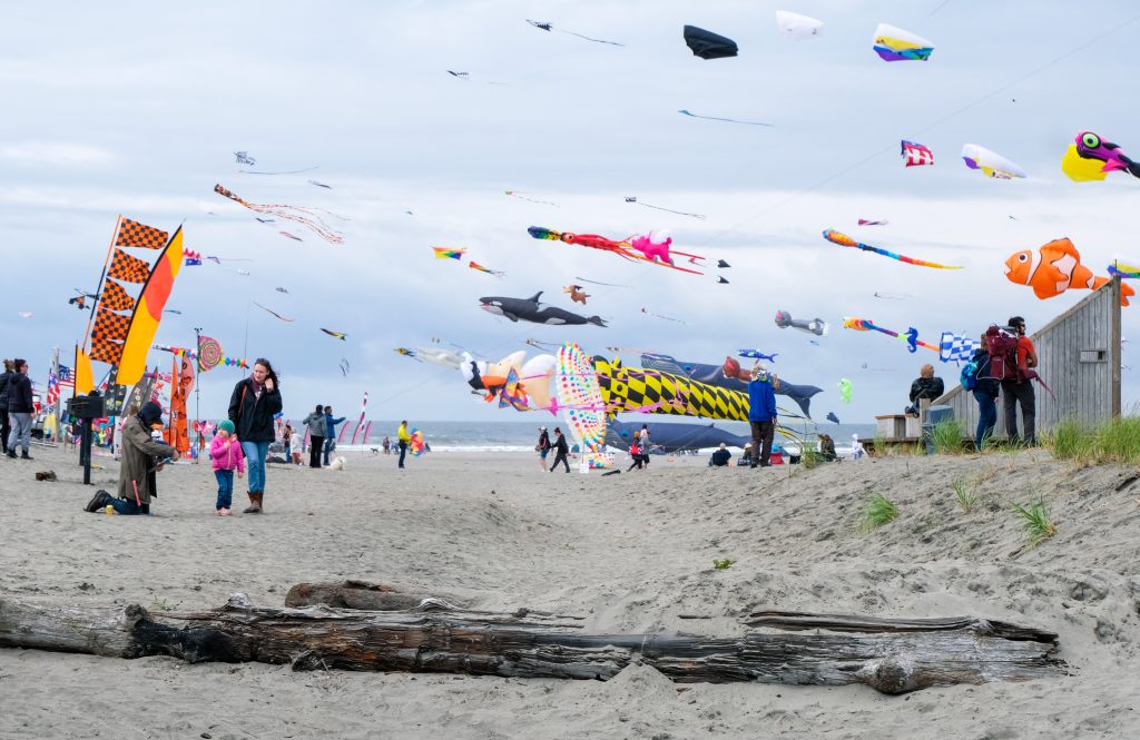 2025 Bucket List: Seas the Day on Washington’s Evergreen Coast